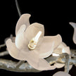 John Richard Churippu Magnolia & Tulip Glass Bronze Twelve-Light Halo Chandelier