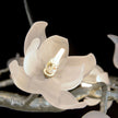 John Richard Churippu Magnolia & Tulip Glass Silver Leaf Twelve-Light Halo Chandelier