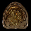 John Richard Corallo Wall Sconce