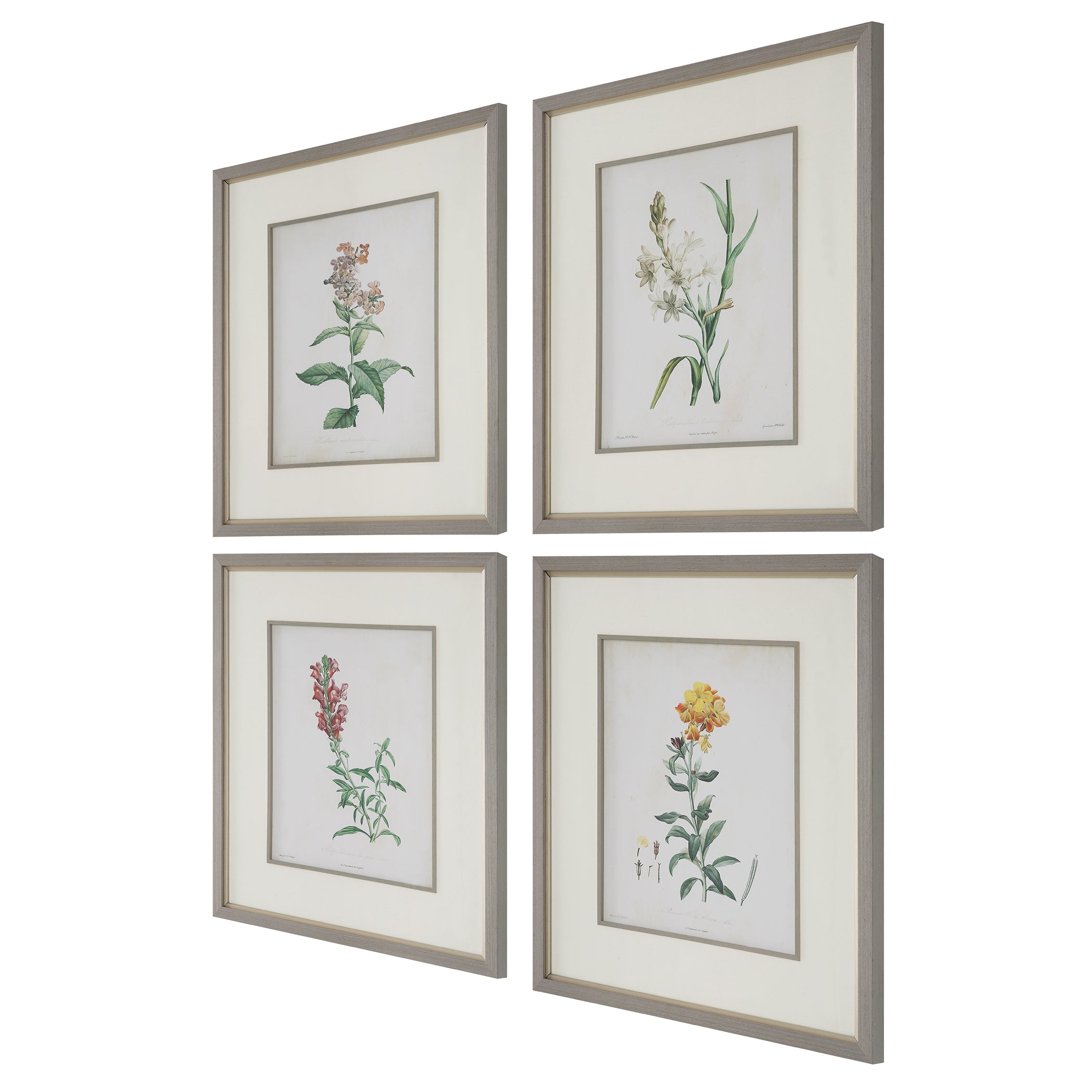 Uttermost Heirloom Blooms Study Framed Prints - Set of 4