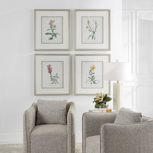 Uttermost Heirloom Blooms Study Framed Prints - Set of 4