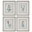 Uttermost Heirloom Blooms Study Framed Prints - Set of 4