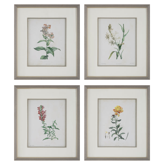 Uttermost Heirloom Blooms Study Framed Prints - Set of 4
