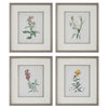 Uttermost Heirloom Blooms Study Framed Prints - Set of 4