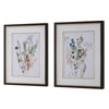 Uttermost Delicate Flowers Framed Prints - Set of 2