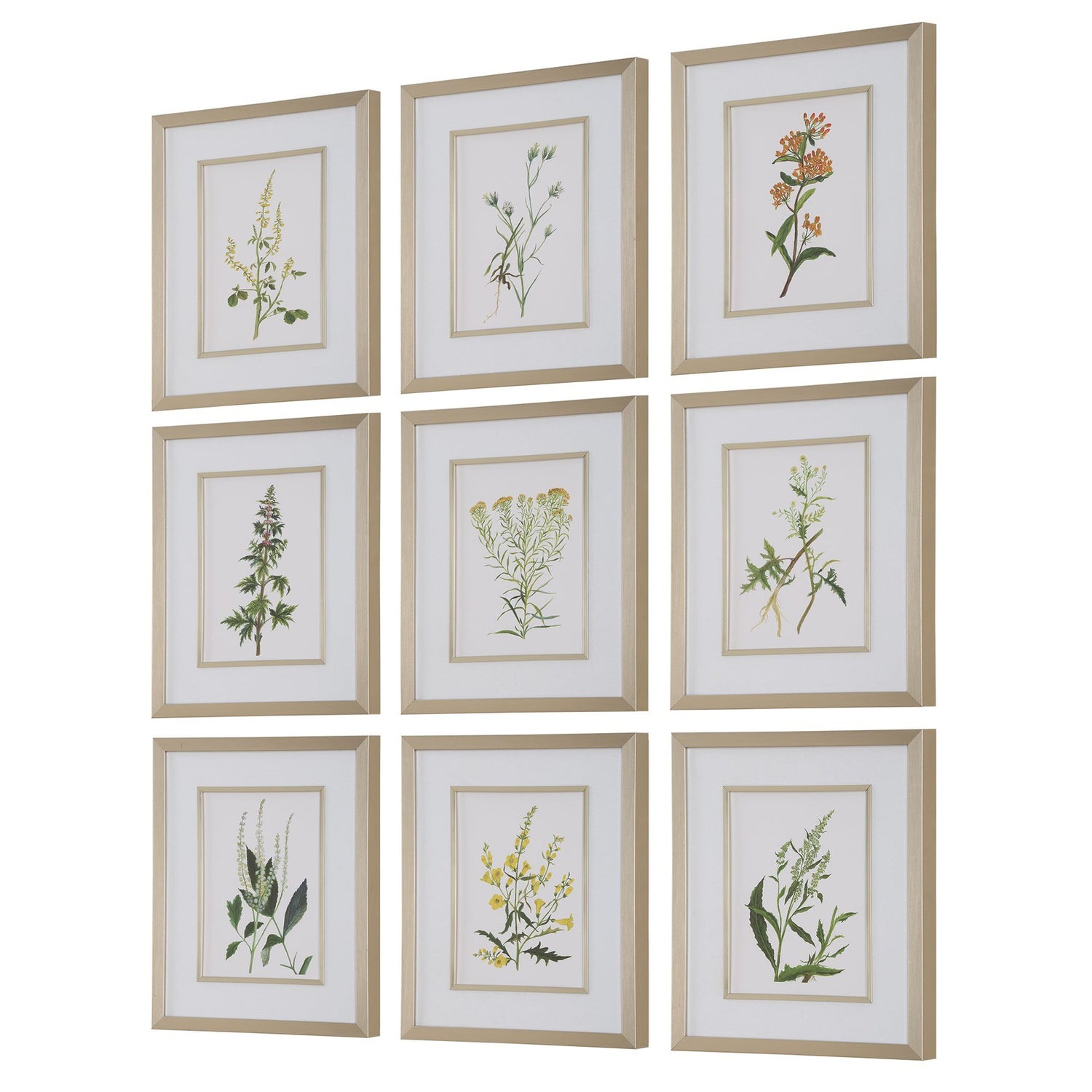 Uttermost Botanical Flowers Framed Prints - Set of 9