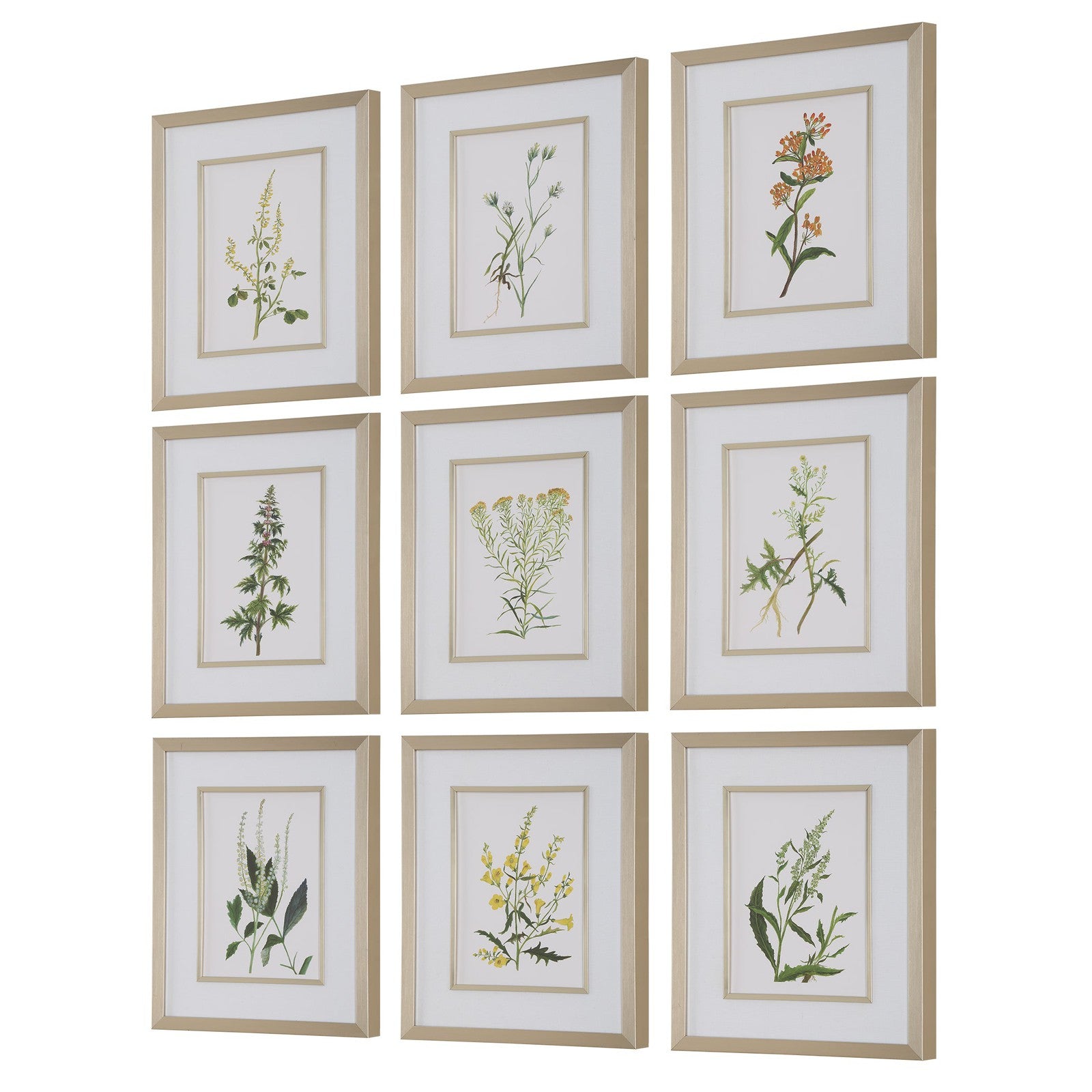 Uttermost Botanical Flowers Framed Prints - Set of 9