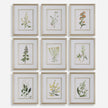 Uttermost Botanical Flowers Framed Prints - Set of 9