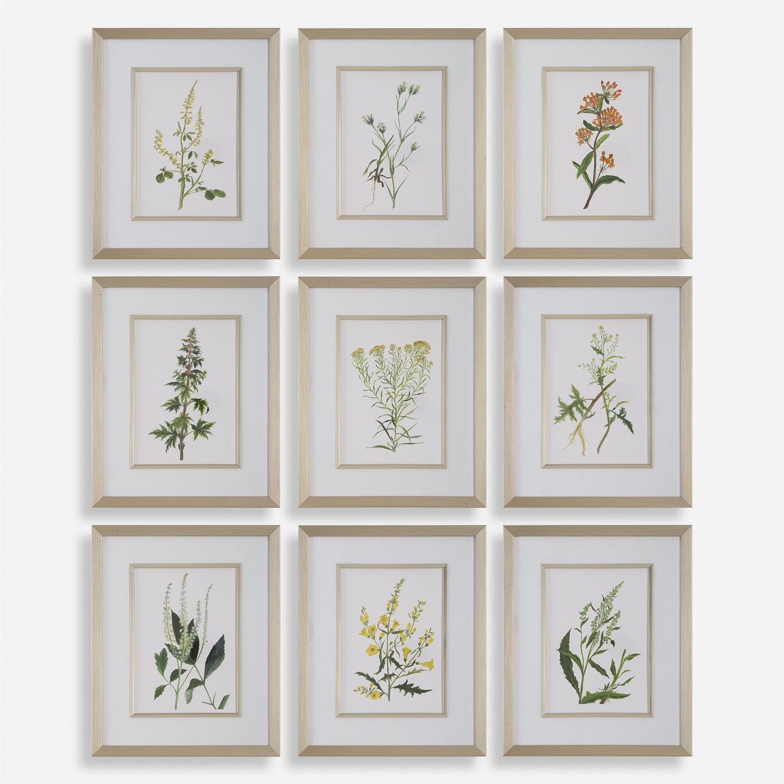 Uttermost Botanical Flowers Framed Prints - Set of 9