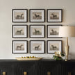 Uttermost Equine Dynasty Framed Prints - Set of 9