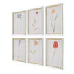 Uttermost Wild Flourish Framed Floral Prints - Set of 6