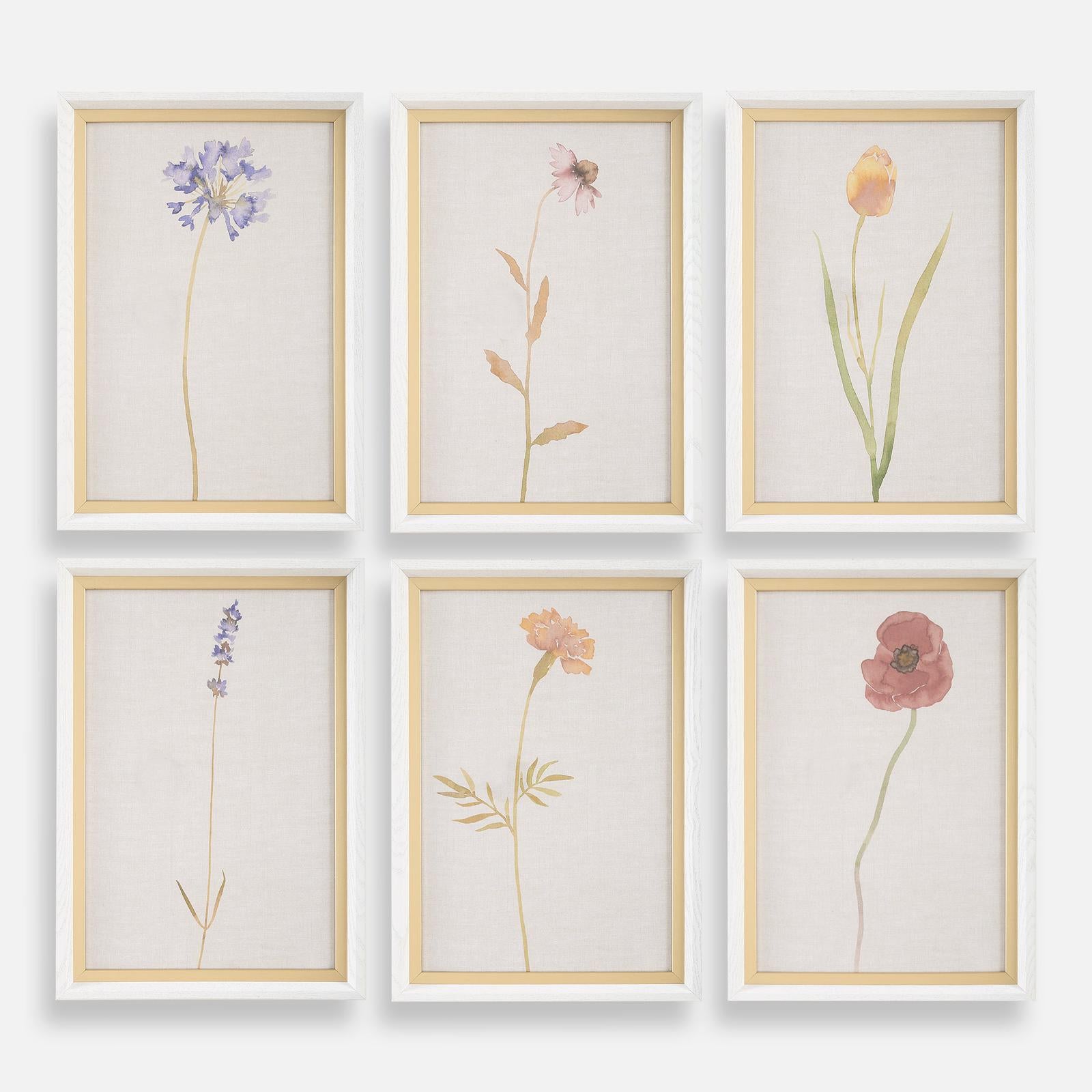 Uttermost Wild Flourish Framed Floral Prints - Set of 6