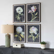 Uttermost Florals On Black Framed Prints - Set of 4