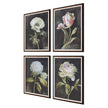 Uttermost Florals On Black Framed Prints - Set of 4