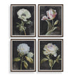 Uttermost Florals On Black Framed Prints - Set of 4