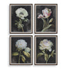 Uttermost Florals On Black Framed Prints - Set of 4