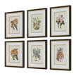 Uttermost Orchid Botanical Framed Prints - Set of 6