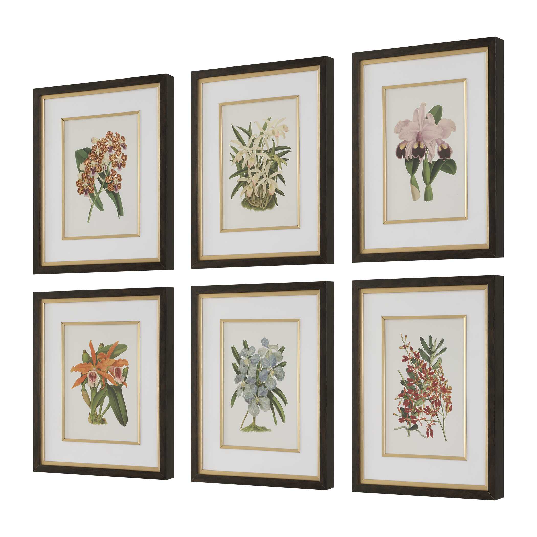 Uttermost Orchid Botanical Framed Prints - Set of 6