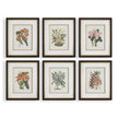 Uttermost Orchid Botanical Framed Prints - Set of 6