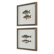 Uttermost The Catch Framed Fish Prints - Set of 2