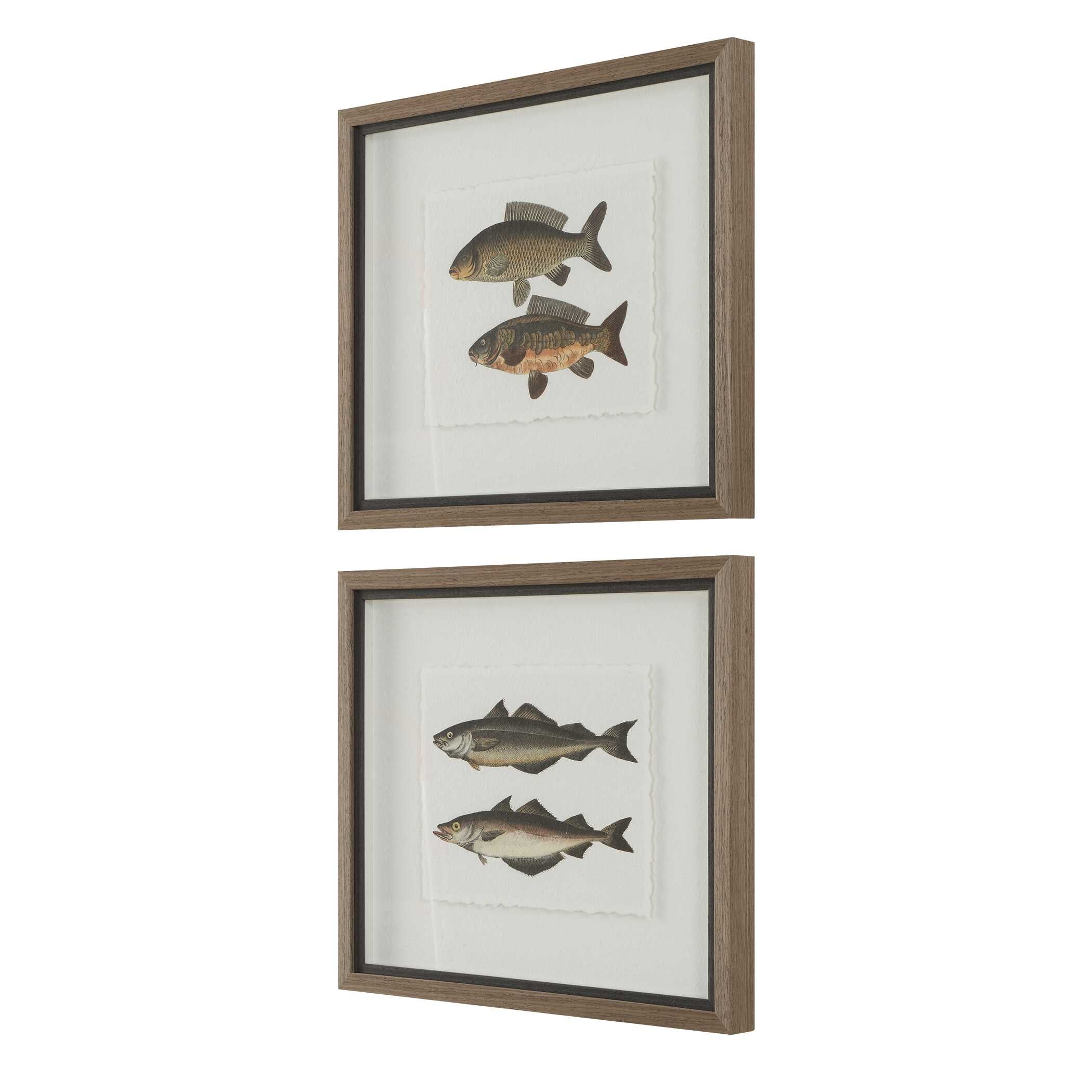 Uttermost The Catch Framed Fish Prints - Set of 2