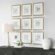 Uttermost Nature's Script Framed Botanical Prints - Set of 9