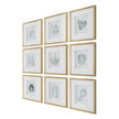 Uttermost Nature's Script Framed Botanical Prints - Set of 9