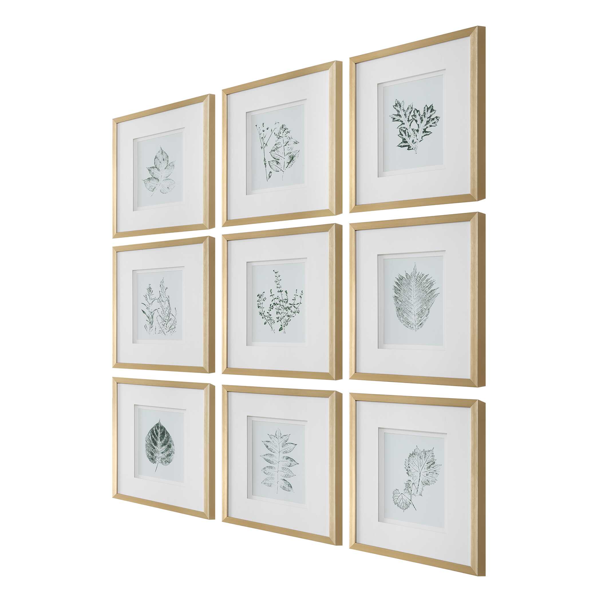 Uttermost Nature's Script Framed Botanical Prints - Set of 9