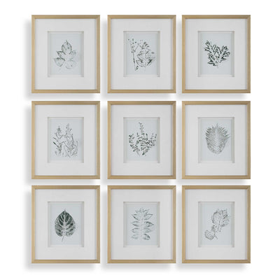 Uttermost Nature's Script Framed Botanical Prints - Set of 9