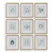 Uttermost Nature's Script Framed Botanical Prints - Set of 9