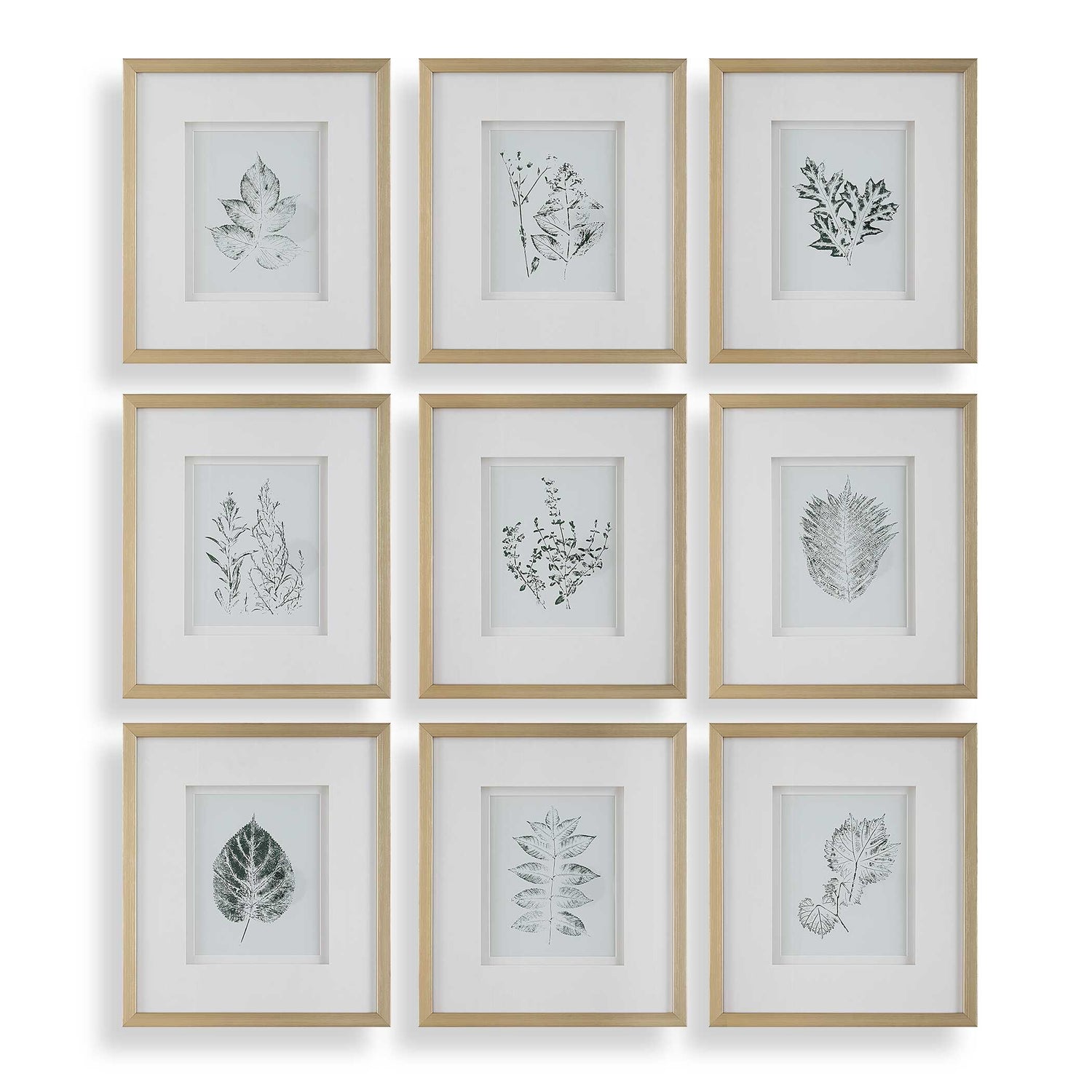 Uttermost Nature's Script Framed Botanical Prints - Set of 9