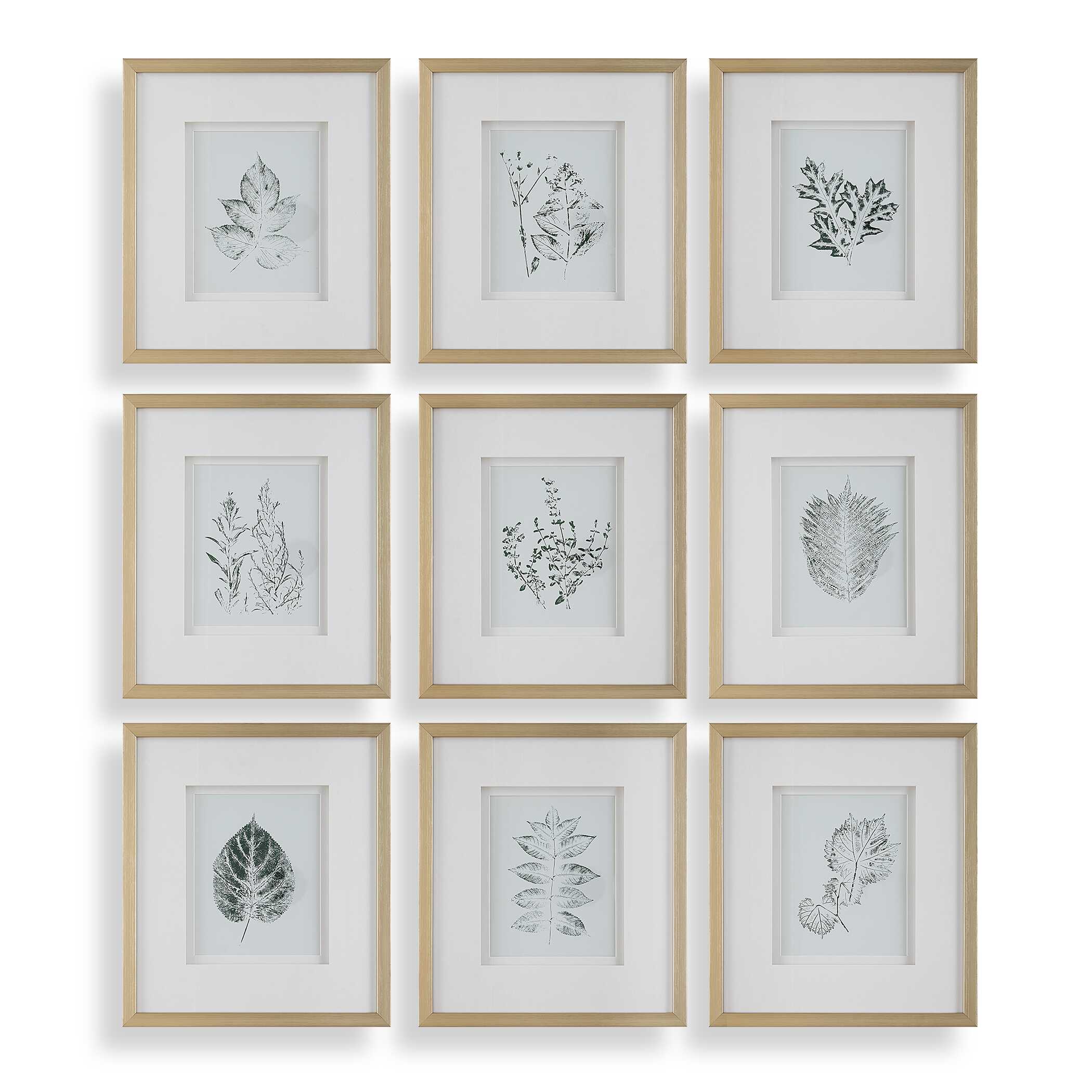 Uttermost Nature's Script Framed Botanical Prints - Set of 9