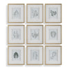 Uttermost Nature's Script Framed Botanical Prints - Set of 9