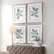 Uttermost Fiddle Head Leaf Botanical Prints - Set of 4