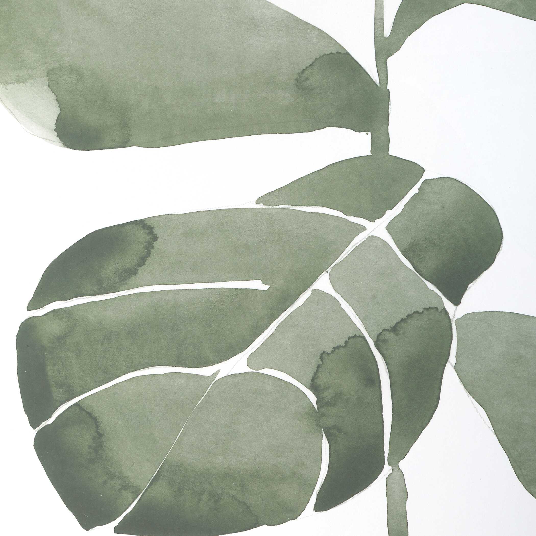 Uttermost Fiddle Head Leaf Botanical Prints - Set of 4