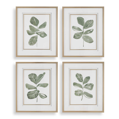 Uttermost Fiddle Head Leaf Botanical Prints - Set of 4