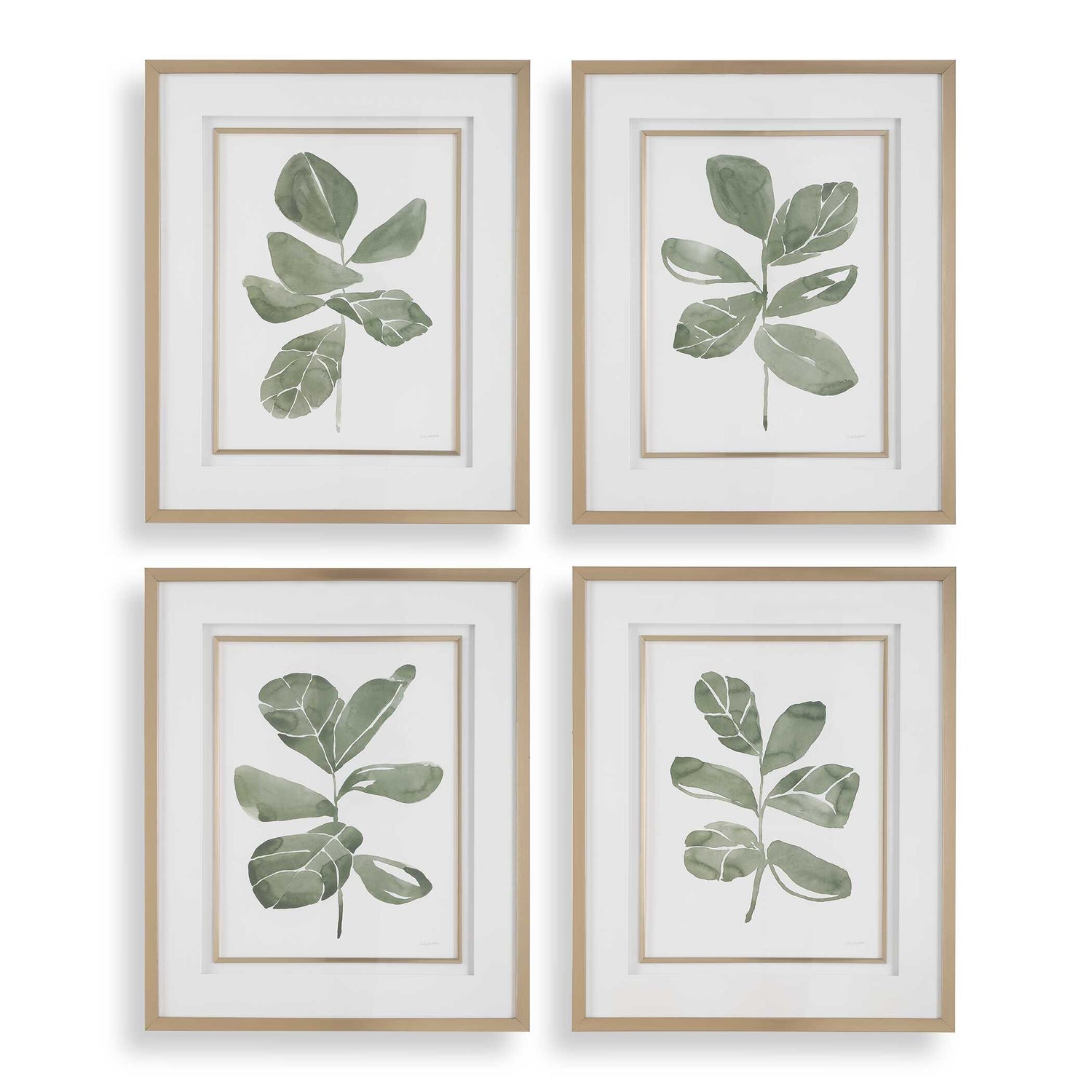Uttermost Fiddle Head Leaf Botanical Prints - Set of 4