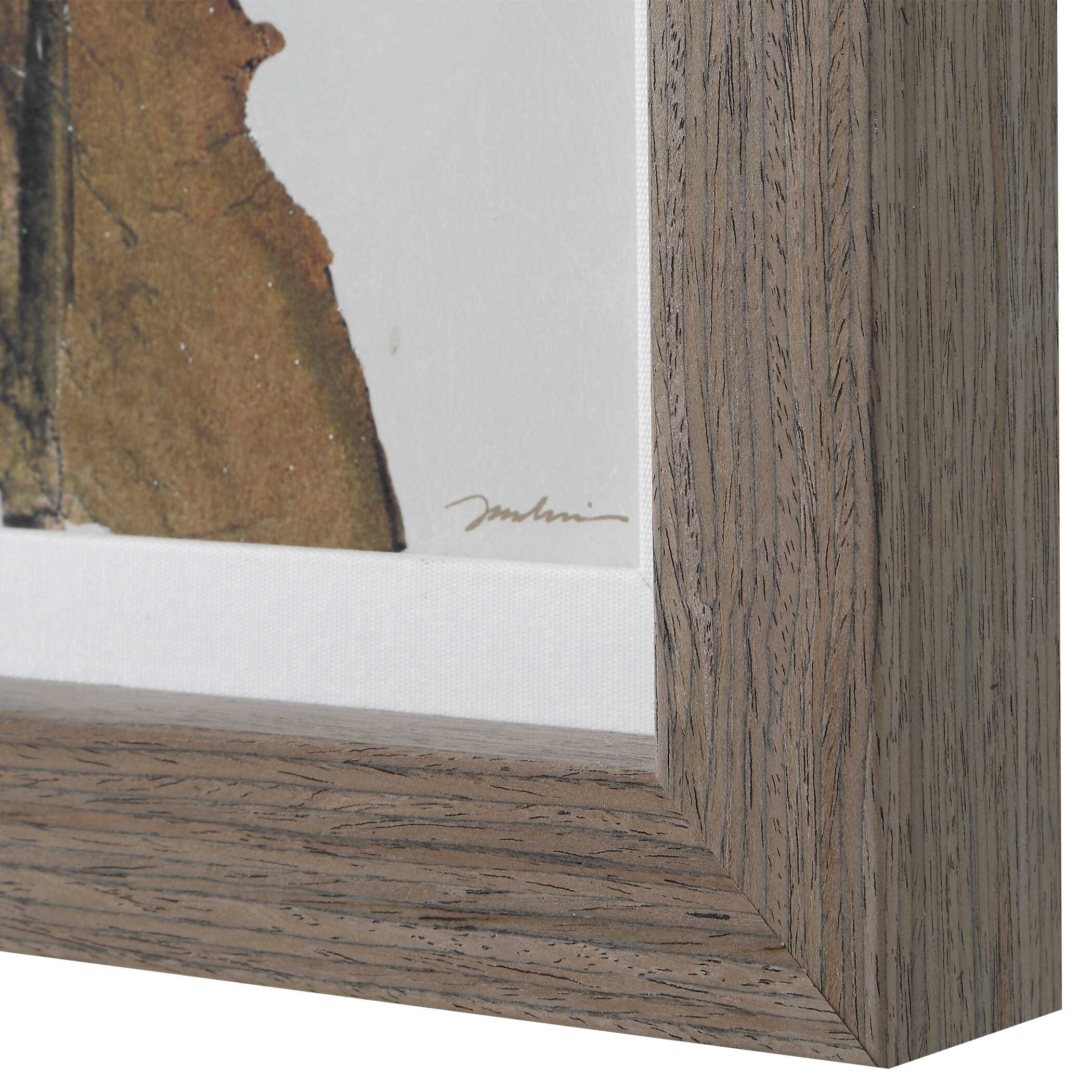 Uttermost Garden Study Framed Floral Prints - Set of 2
