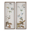 Uttermost Garden Study Framed Floral Prints - Set of 2
