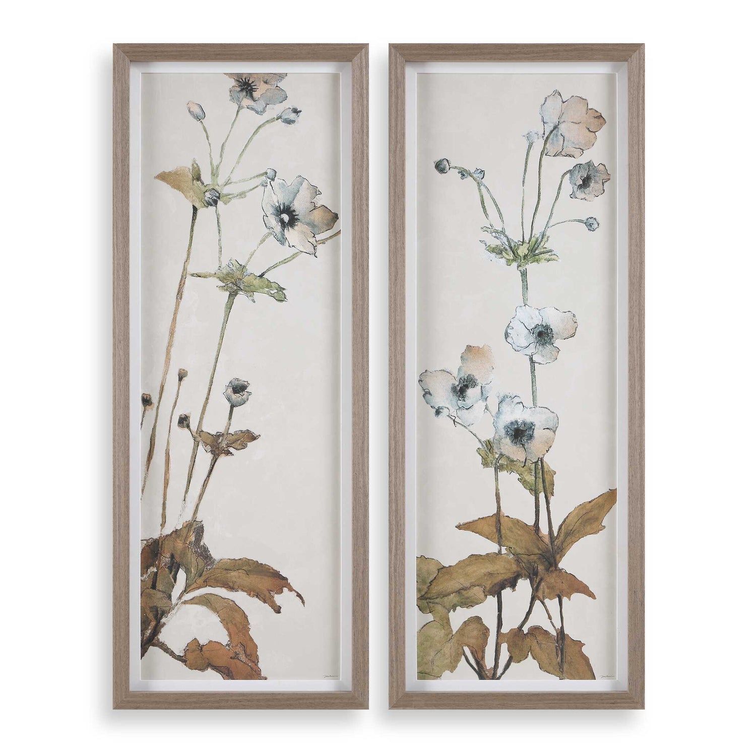 Uttermost Garden Study Framed Floral Prints - Set of 2
