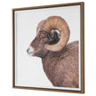 Uttermost Big Horn Sheep Framed Print