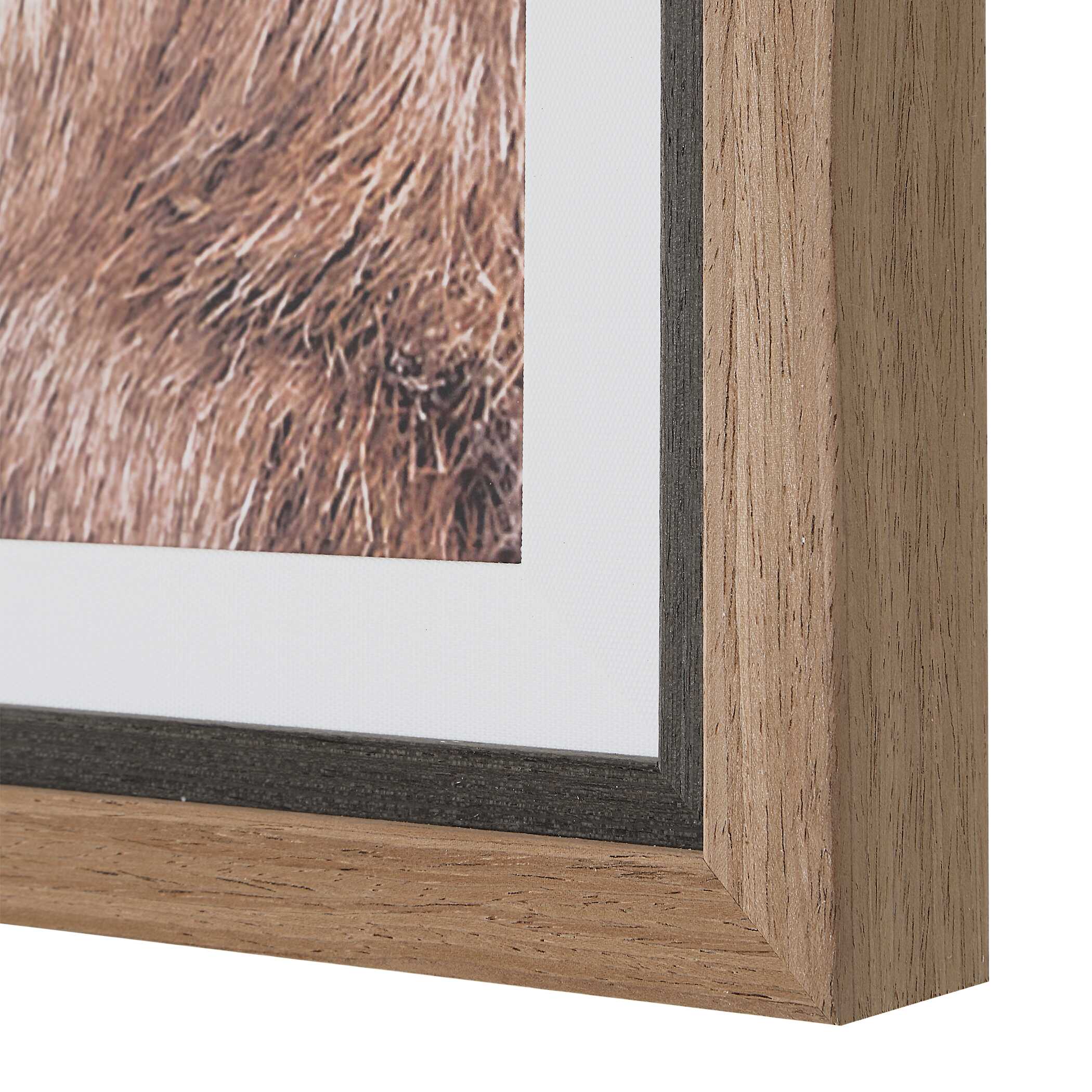 Uttermost Big Horn Sheep Framed Print