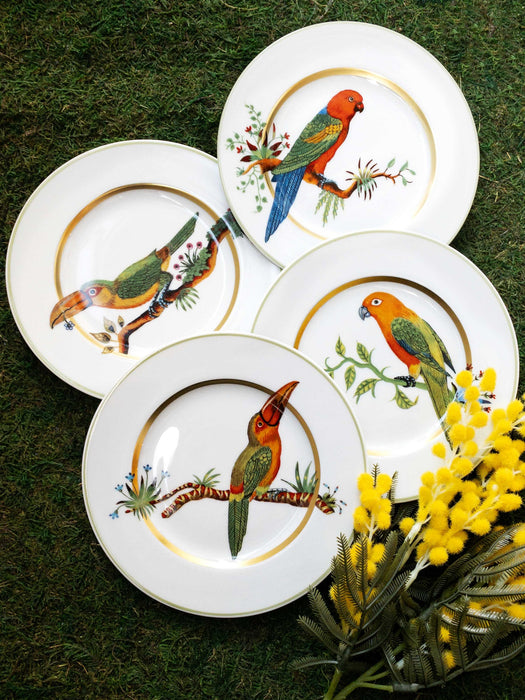 Haviland Alain Thomas Red Parrot Bread and Butter Plate
