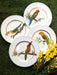 Haviland Alain Thomas Toucan Facing Left Bread and Butter Plate