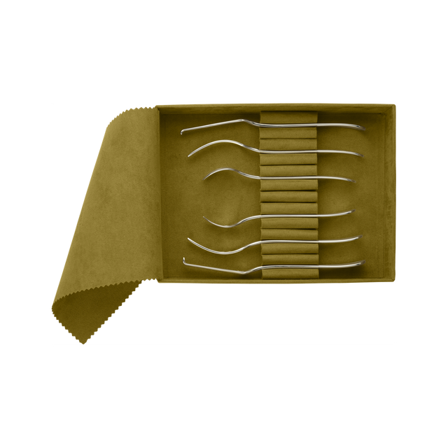 Christofle Albi Seafood Duo Set 6 Pieces