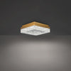 Schonbek Whisper BFM39212 Flush Mount