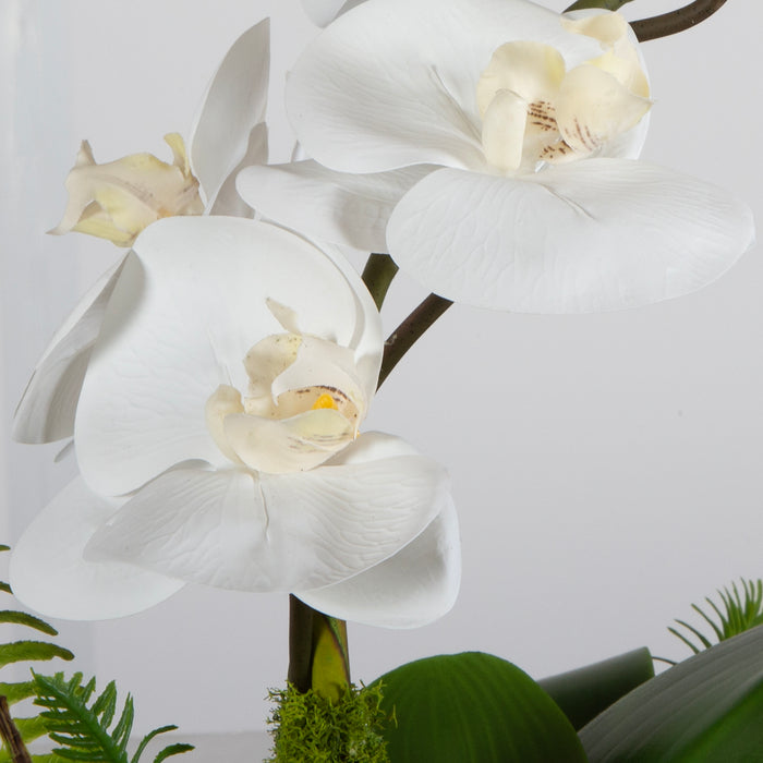 Uttermost Transcend Orchid Centerpiece