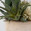 Uttermost Seaside Succulents - Set of 2