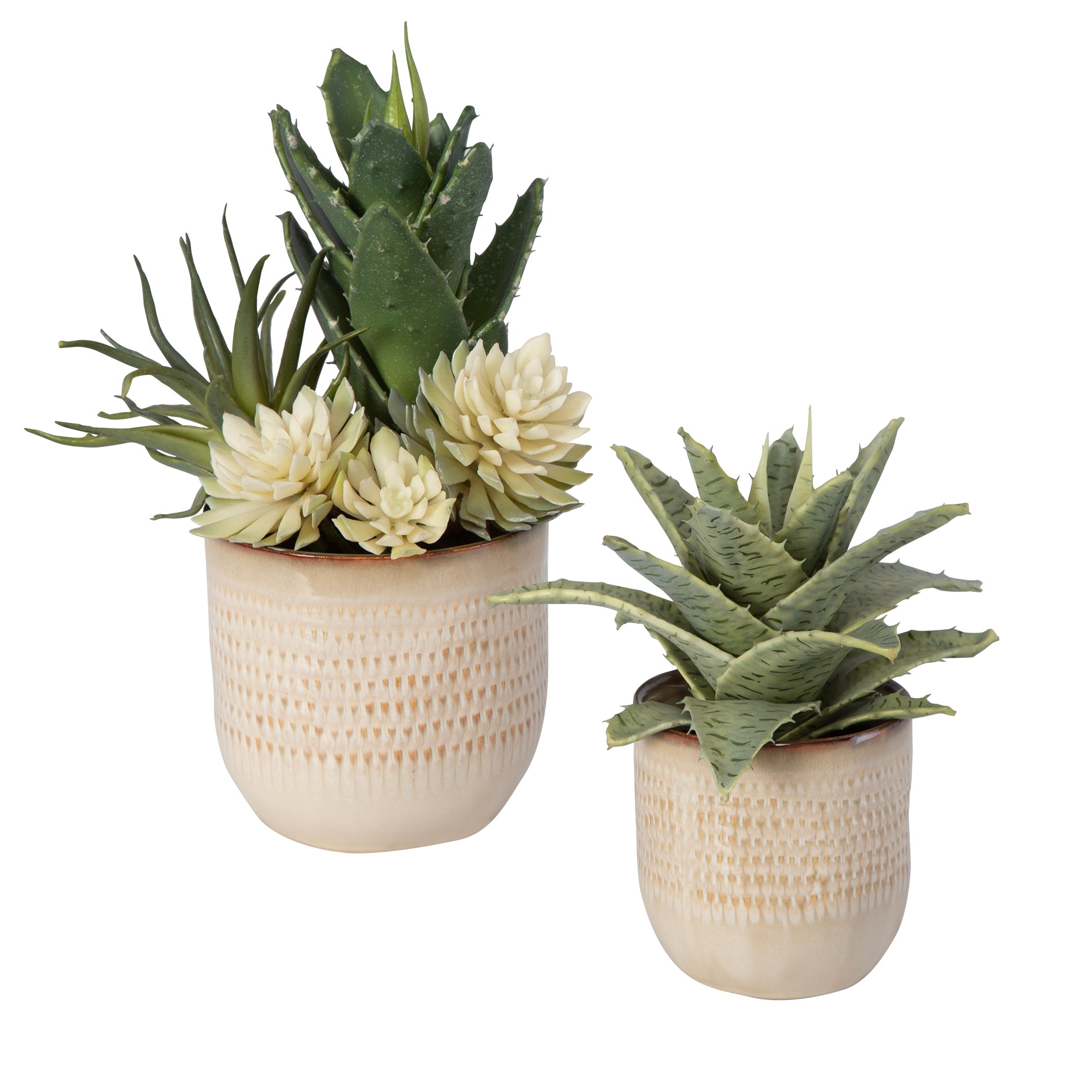 Uttermost Seaside Succulents - Set of 2