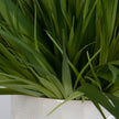 Uttermost Edgewood Greenery - Set of 2